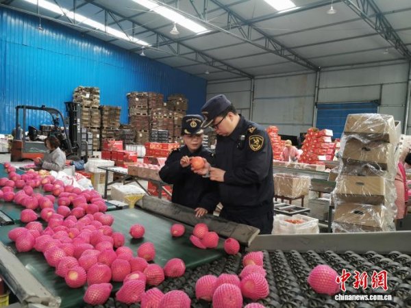 股市配资合法 甘肃五年进出口总值平均增速近15% 百余种产品实现首次出口